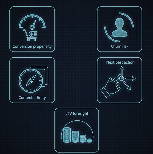 Five blueprint icons for propensity, churn, affinity, next action, and LTV